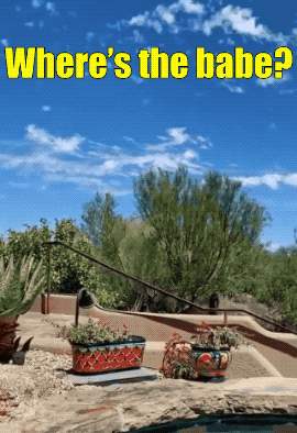 fit girls showing off their skills 24 gifs 9.html - 1 HD GIF | Premium Gallery 2023