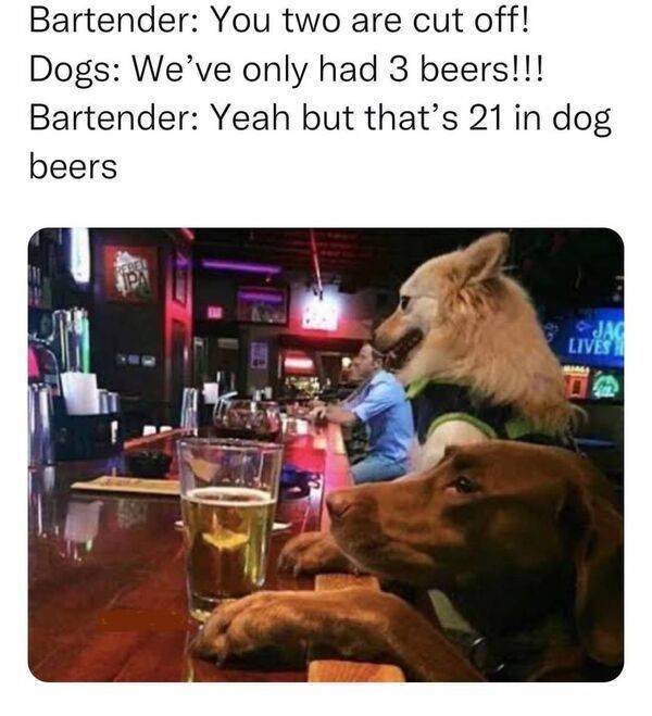 Drinking Never Ends…