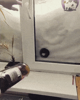 Drinking Never Ends…