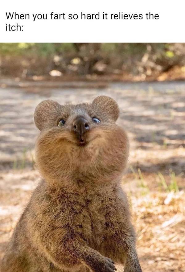 dirty minds assemble 65 pics 21.html - 65 HD Photos | Premium Gallery 2023