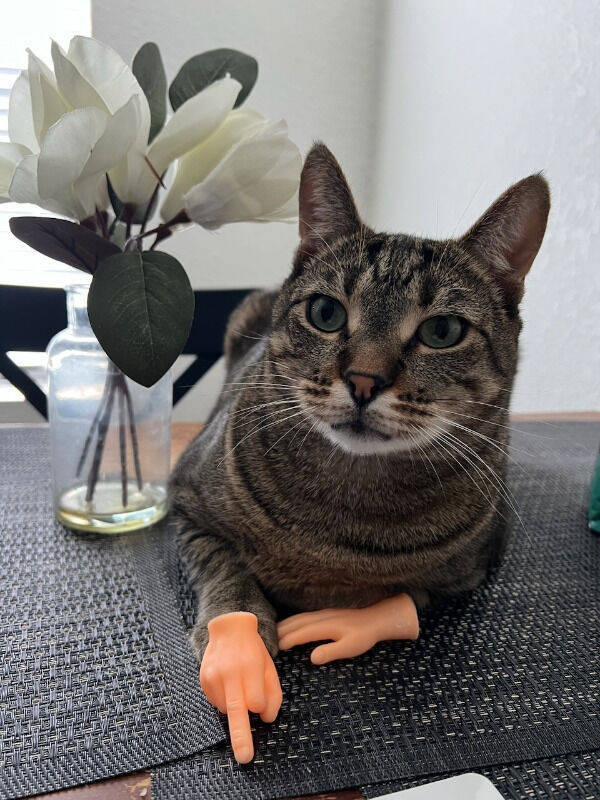 dirty minds assemble 65 pics 21.html - 65 HD Photos | Premium Gallery 2023