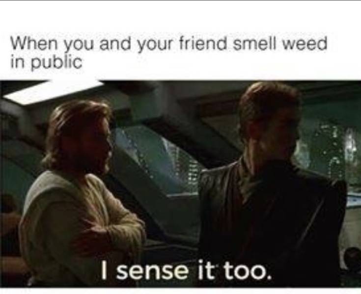 These Stoner Memes Are Already High…