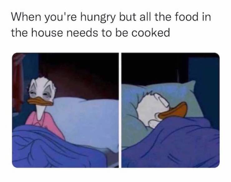 these stoner memes are already high 58 pics 5.html - 58 HD Photos | Premium Gallery 2023