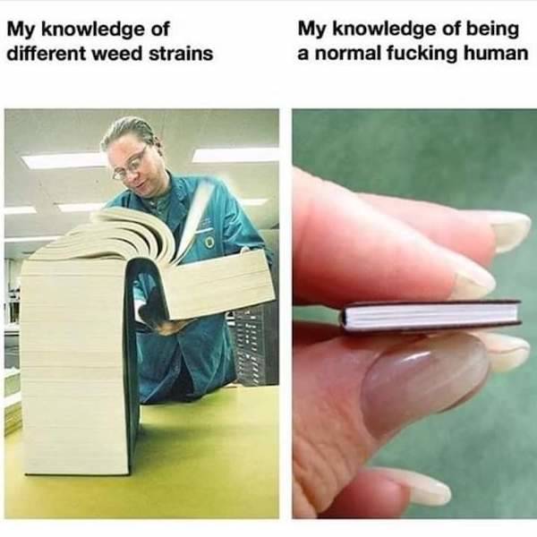 these stoner memes are already high 58 pics 5.html - 58 HD Photos | Premium Gallery 2023