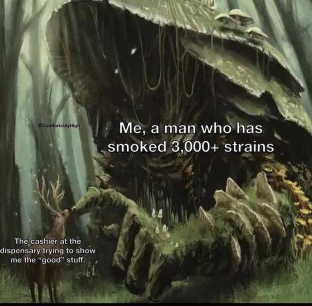 these stoner memes are already high 58 pics 5.html - 58 HD Photos | Premium Gallery 2023