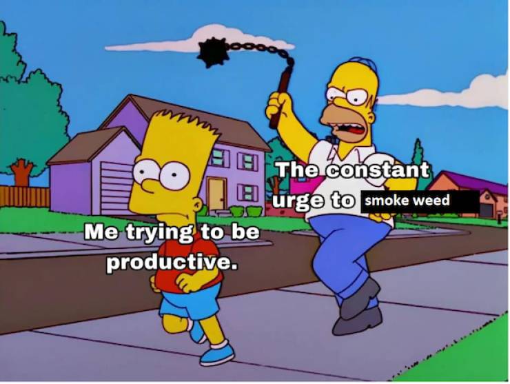 these stoner memes are already high 58 pics 5.html - 58 HD Photos | Premium Gallery 2023