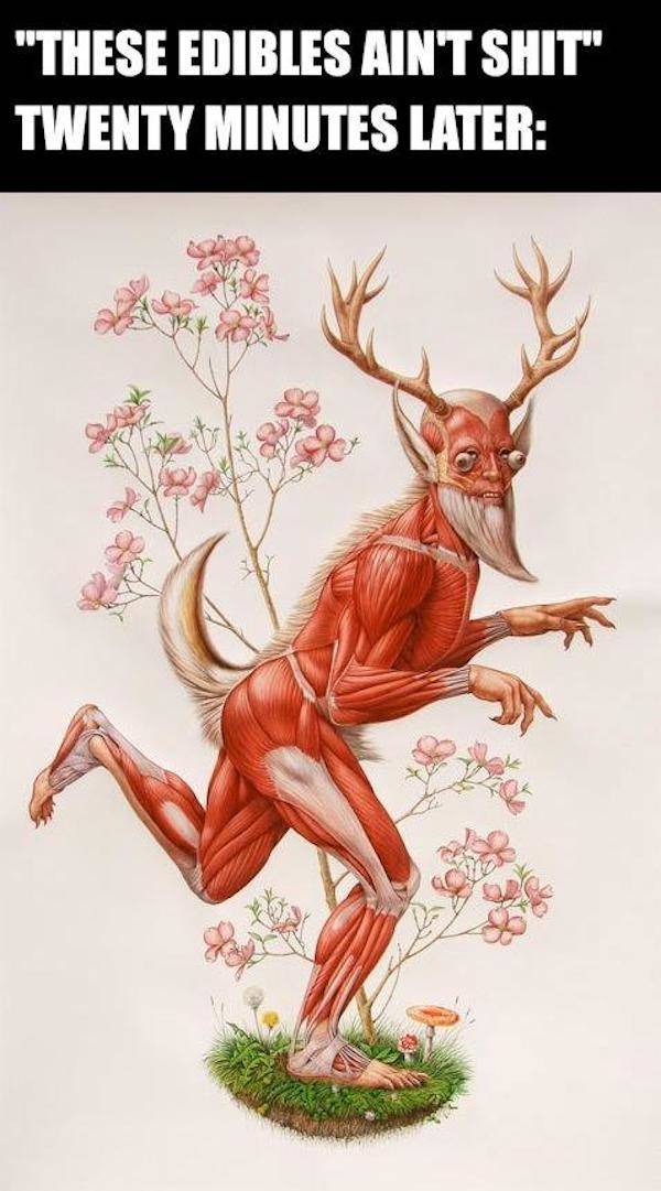 These Stoner Memes Are Already High…