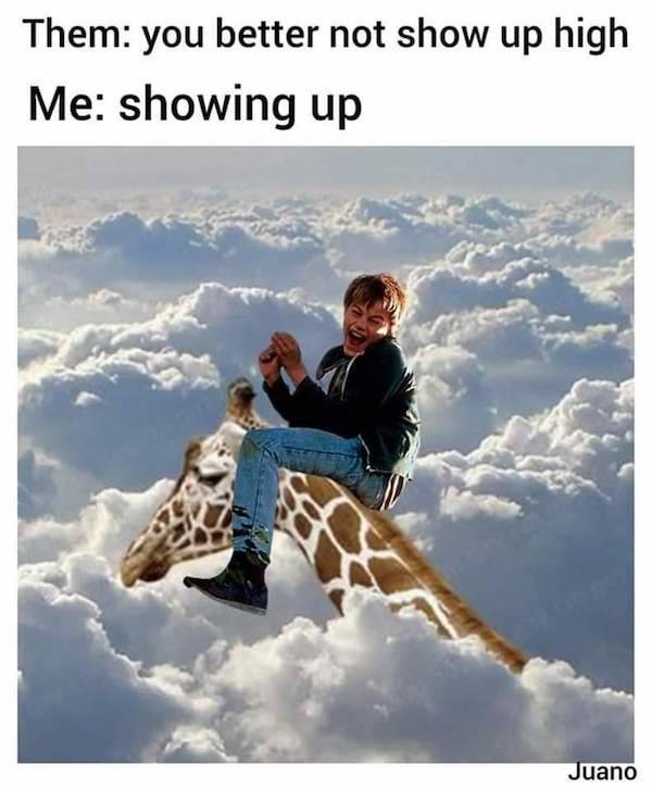 these stoner memes are already high 58 pics 5.html - 58 HD Photos | Premium Gallery 2023