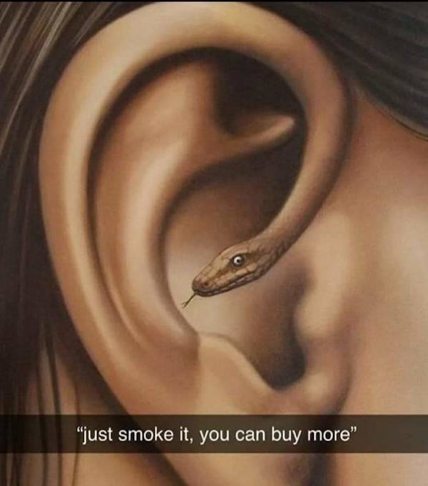 these stoner memes are already high 58 pics 5.html - 58 HD Photos | Premium Gallery 2023
