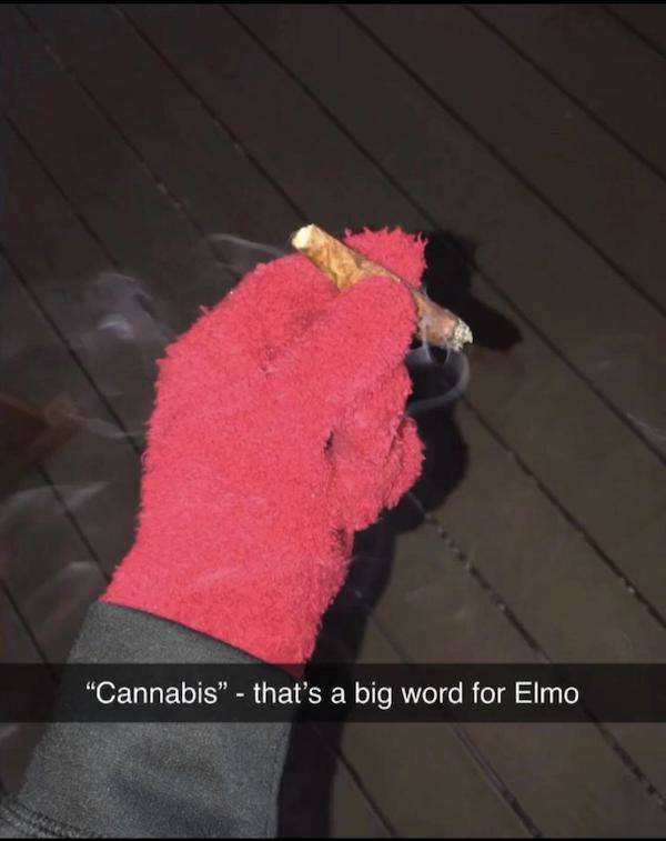 these stoner memes are already high 58 pics 5.html - 58 HD Photos | Premium Gallery 2023