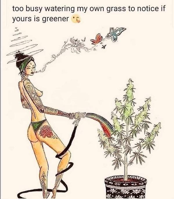 these stoner memes are already high 58 pics 5.html - 58 HD Photos | Premium Gallery 2023