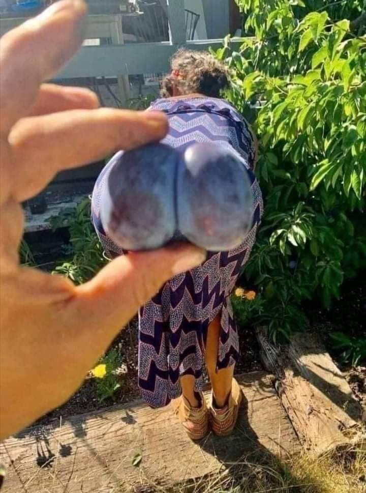 dirty mind come here 50 pics 5.html - 50 HD Photos | Premium Gallery 2023