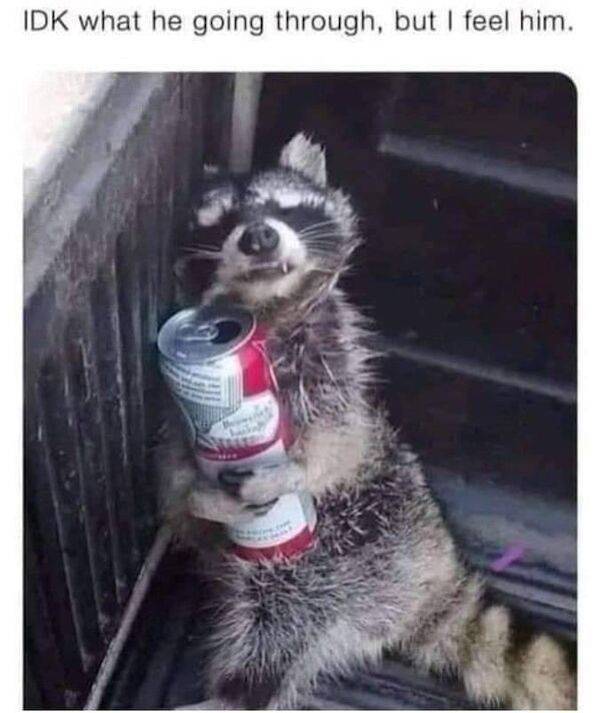 Drinking Never Ends…