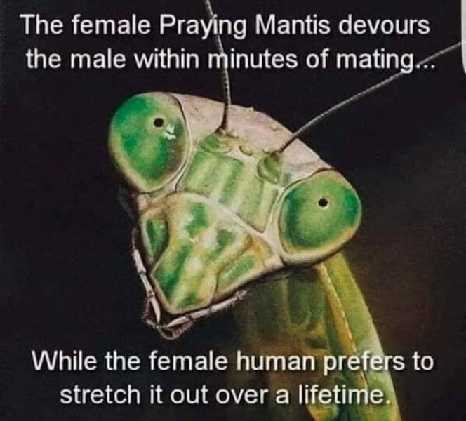 Dirty Minds, Assemble!