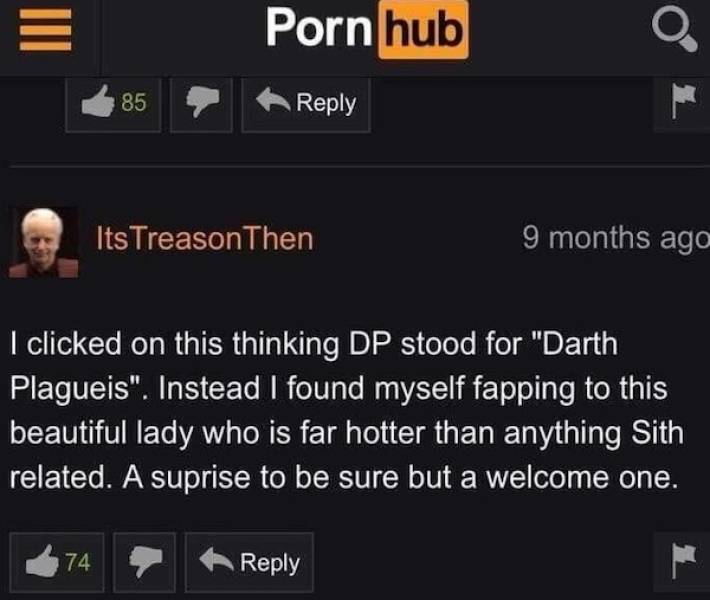 pornhubs comments are always wild 33 pics 14.html - 33 HD Photos | Premium Gallery 2023