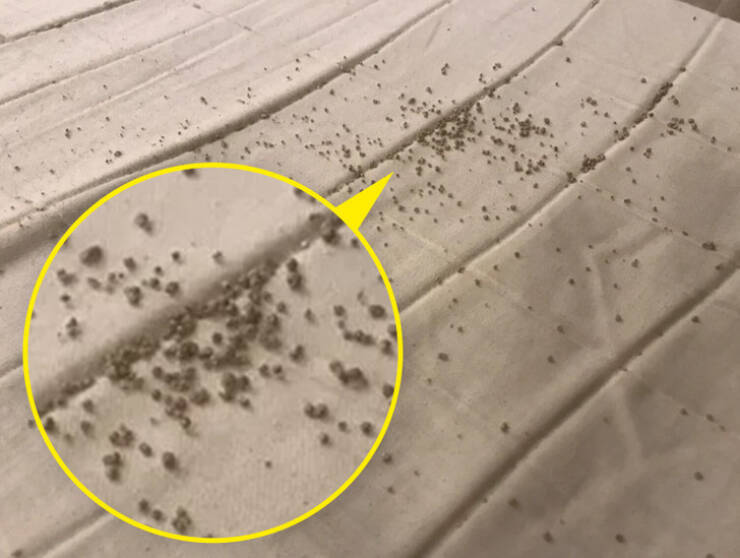 Mysterious Objects That Defy Explanation