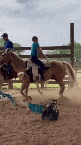 ooh thats dirty 54 pics 1 gif 28.html - 54 HD GIF | Premium Gallery 2023