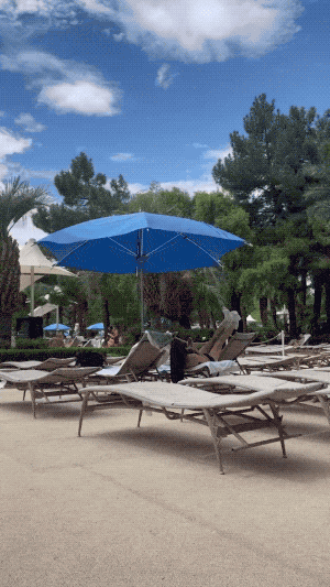 Influencers Caught In The Act: Hilarious Moments On Display