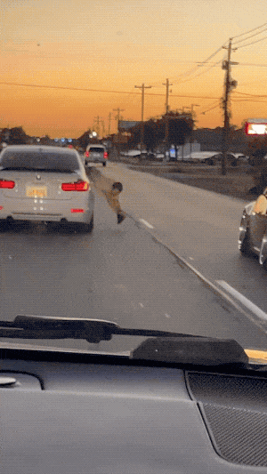 influencers caught in the act hilarious moments on display 16 gifs 1.html - 1 HD GIF | Premium Gallery 2023