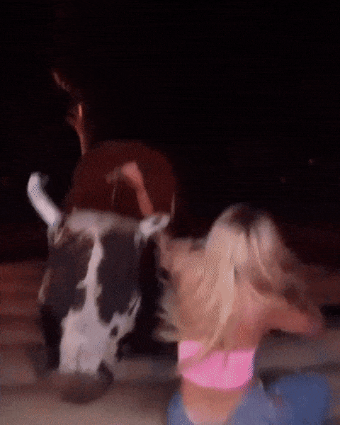 girls having some fun 39 gifs 2.html - 1 HD GIF | Premium Gallery 2023