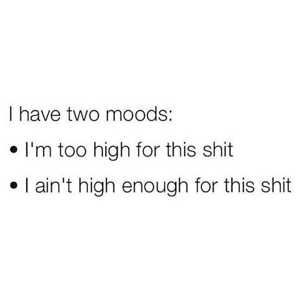 these memes are already stoned 30 pics 5.html - 30 HD Photos | Premium Gallery 2023