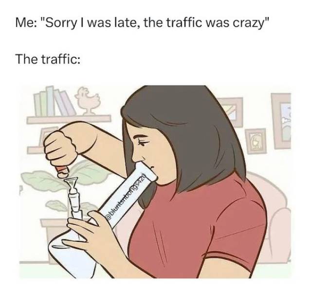 these memes are already stoned 30 pics 5.html - 30 HD Photos | Premium Gallery 2023