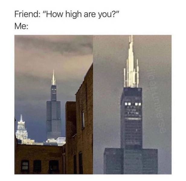 these memes are already stoned 30 pics 5.html - 30 HD Photos | Premium Gallery 2023