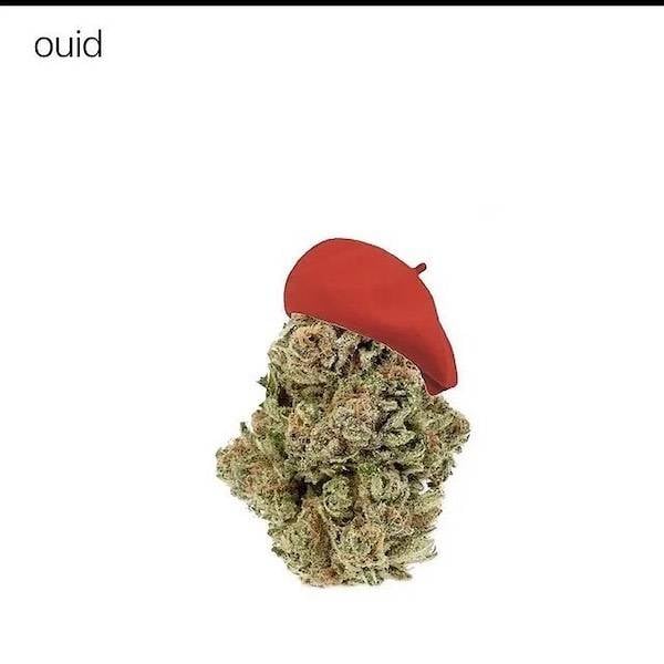 these memes are already stoned 30 pics 5.html - 30 HD Photos | Premium Gallery 2023