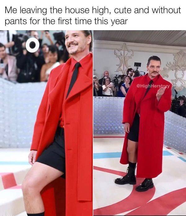 these memes are already stoned 30 pics 5.html - 30 HD Photos | Premium Gallery 2023