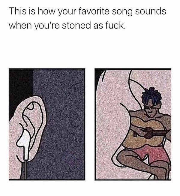 these memes are already stoned 30 pics 5.html - 30 HD Photos | Premium Gallery 2023
