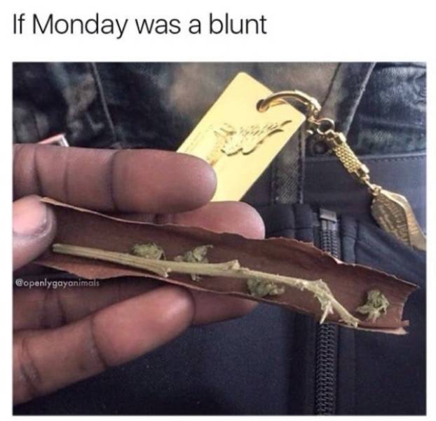 These Stoner Memes Are Already High…