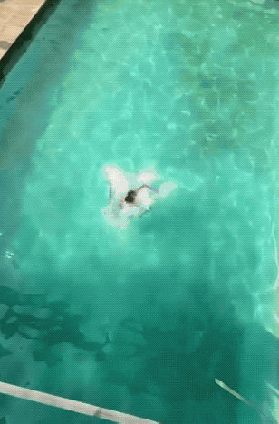 fit is hot 26 gifs 6.html - 1 HD GIF | Premium Gallery 2023