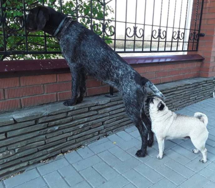 Dirty Minds, Assemble!