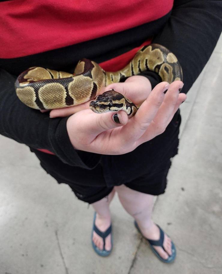 “Walmart” Visitors Are Very Special