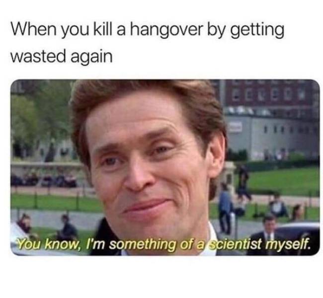 cheers to everyone 44 pics 3 gifs 1.html - 44 HD GIF | Premium Gallery 2023