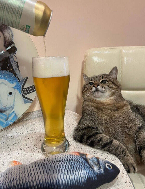 cheers to everyone 44 pics 3 gifs 1.html - 44 HD GIF | Premium Gallery 2023