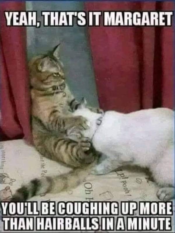 ooh thats dirty 62 pics 31.html - 62 HD Photos | Premium Gallery 2023