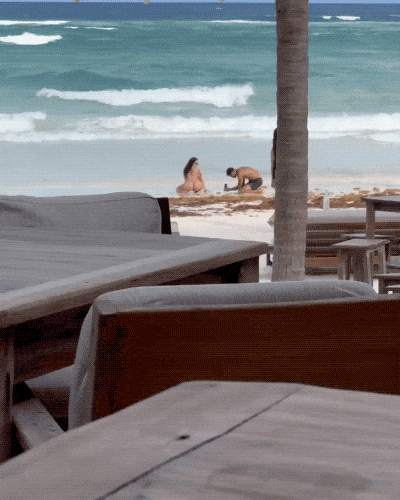 unconventional and comical influencer moments 15 gifs 2.html - 1 HD GIF | Premium Gallery 2023