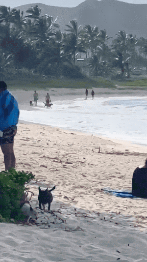 unconventional and comical influencer moments 15 gifs 2.html - 1 HD GIF | Premium Gallery 2023