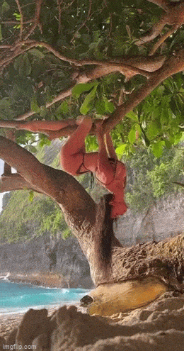 hot girls are here for you 42 gifs 5.html - 1 HD GIF | Premium Gallery 2023