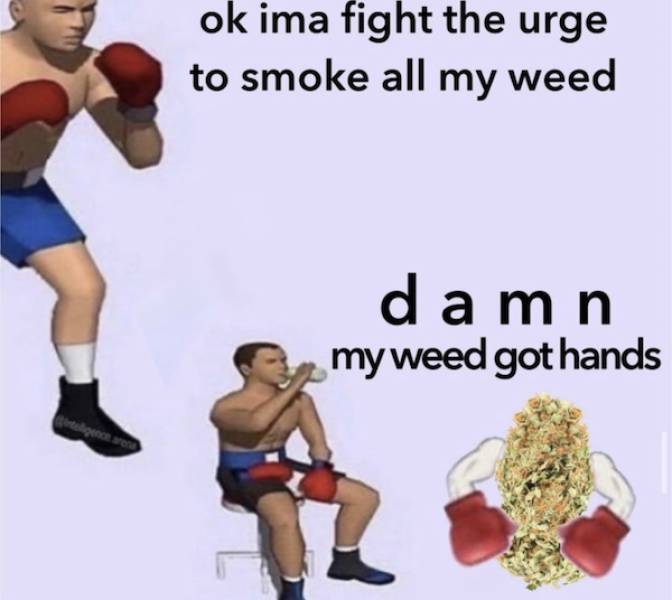 Memes That Perfectly Capture The Stoner Experience