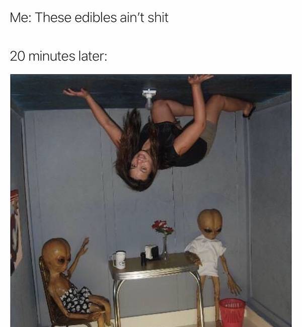 Memes That Perfectly Capture The Stoner Experience