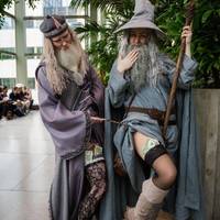 nsfw memes 30 pics.html - 30 HD Photos | Premium Gallery 2024