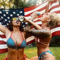 what breed is this cat video.html - 1 HD Video | Premium Gallery 2024