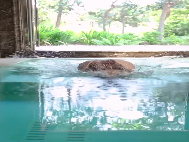 56 Year Old Salma Hayek