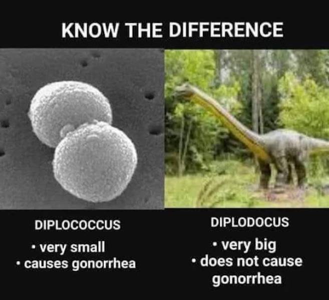 Ooh, That’s Dirty!