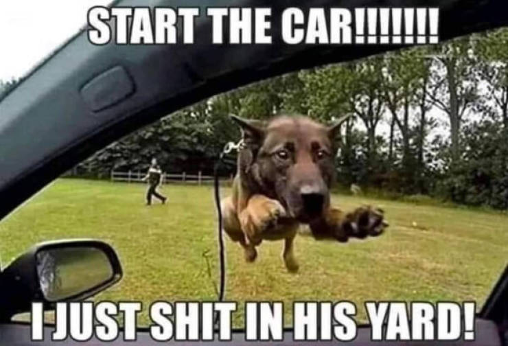 ooh thats dirty 64 pics 1 gif 4.html - 64 HD GIF | Premium Gallery 2023