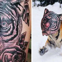 i understand you bro video.html - 1 HD Video | Premium Gallery 2024