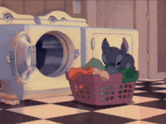 Revelations Unveiled: What People Learned About The Other Gender