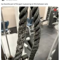 just one piece of sexiness 39 pics.html - 39 HD Photos | Premium Gallery 2024